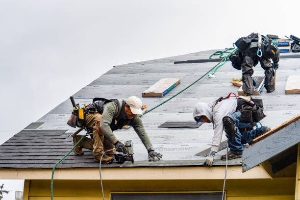 Professional Roof Installation technician working in Linden, TN